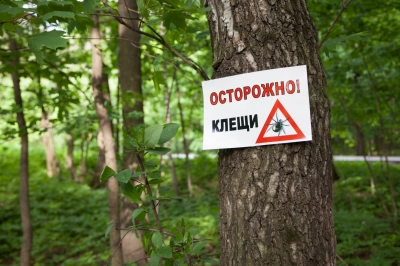 Осторожно, клещи!