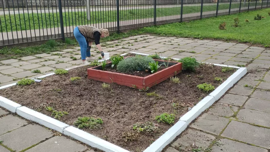 Мир! Труд! Май! Субботник!