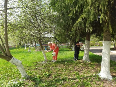 Символ чистоты и обновления