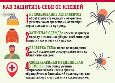 Профилактика клещевого энцефалита