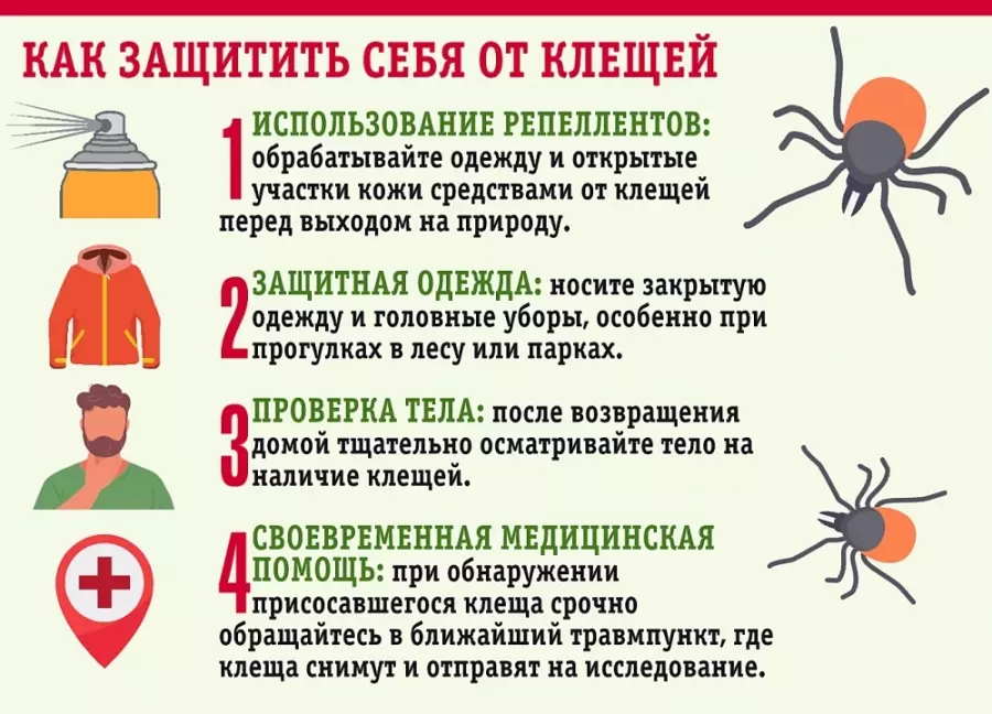 Профилактика клещевого энцефалита