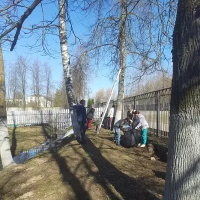 Работы по благоустройству территории